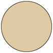 RANGER -Tim Holtz Distress® Oxide® Sprays Antique Linen - 2