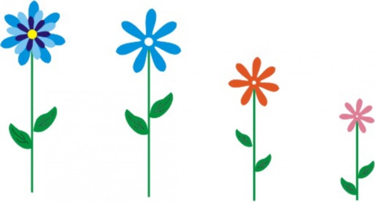 Darling Daisies - A196