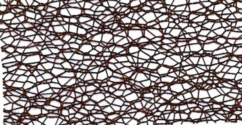 Web brown