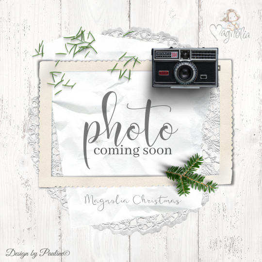 MAGNOLIA WL-20 DooHickey Woodland Mistletoe - 2
