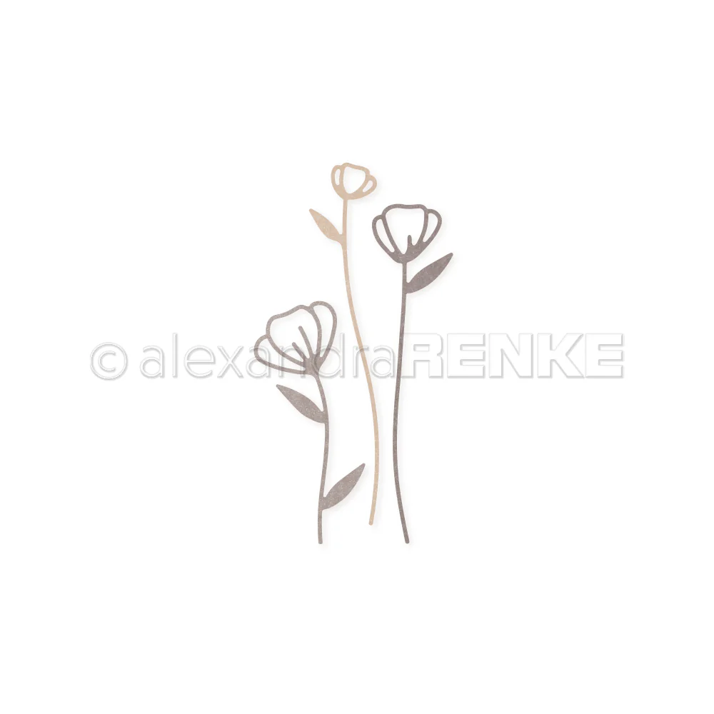 ALEXANDRA RENKE-Die 'Artist Flower Set 11'