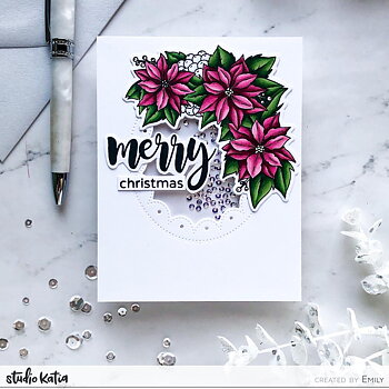 STUDIO KATIA-POINSETTIA BORDER