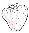 Magnolia  SO06 Lareg strawberry