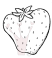 Magnolia  SO06 Lareg strawberry