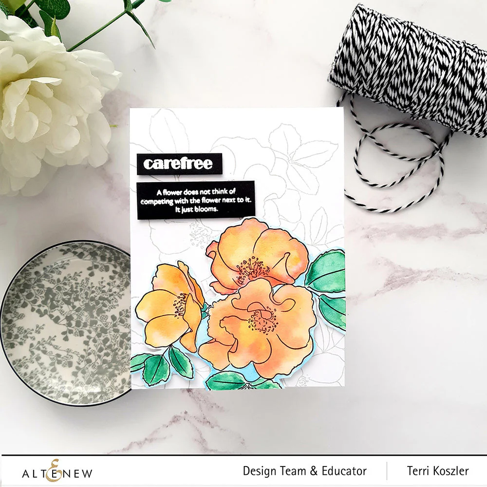 ALTENEW -Paint-A-Flower: Carefree Delight Outline Stamp Set - 2