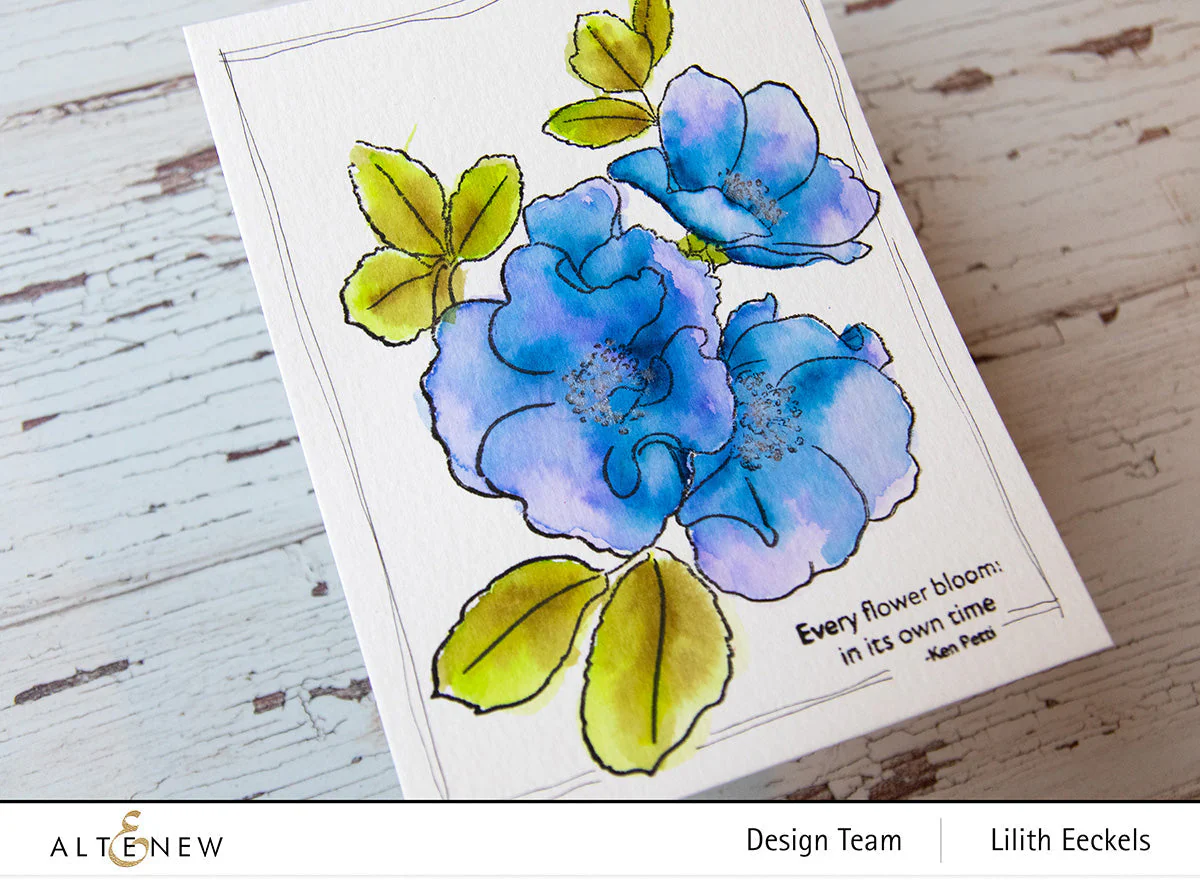 ALTENEW -Paint-A-Flower: Carefree Delight Outline Stamp Set - 3
