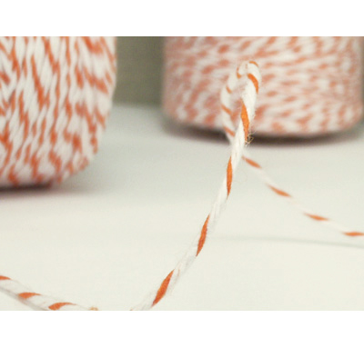 WHISKER GRAPHICS  Divine Twine Orange - 2