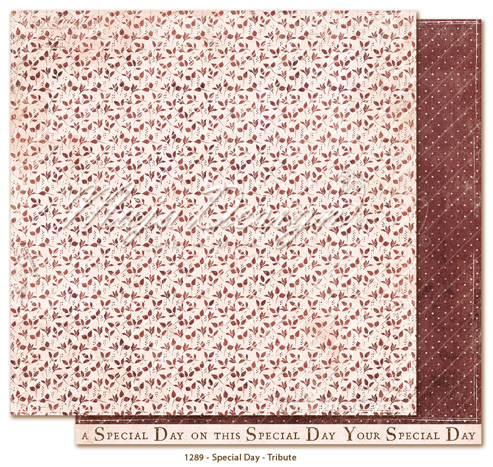 MAJA DESIGN -Special Day - 12x12" Collection Pack - 9