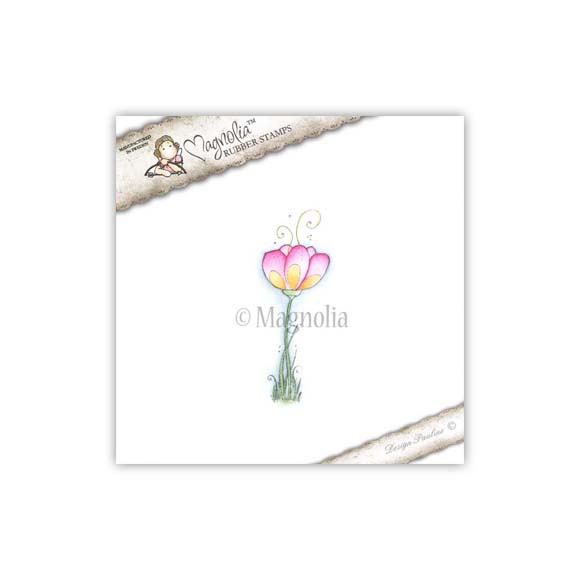 MAGNOLIA F10 Fantasy Flower 