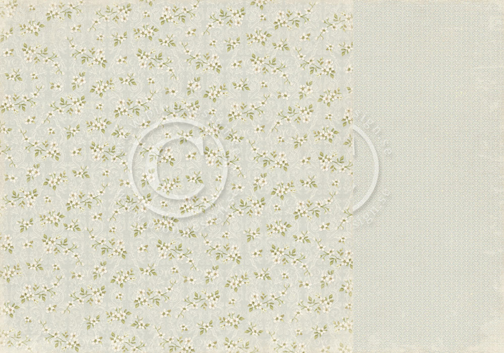 White blossoms - Shoreline Treasures
