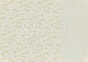 White blossoms - Shoreline Treasures