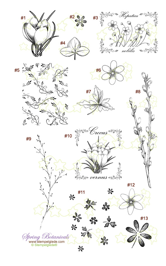 STEMPELGLEDE Spring Botanicals - 2