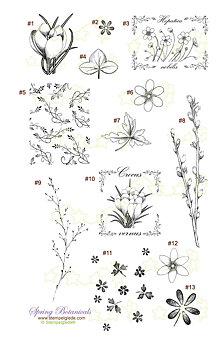 STEMPELGLEDE Spring Botanicals