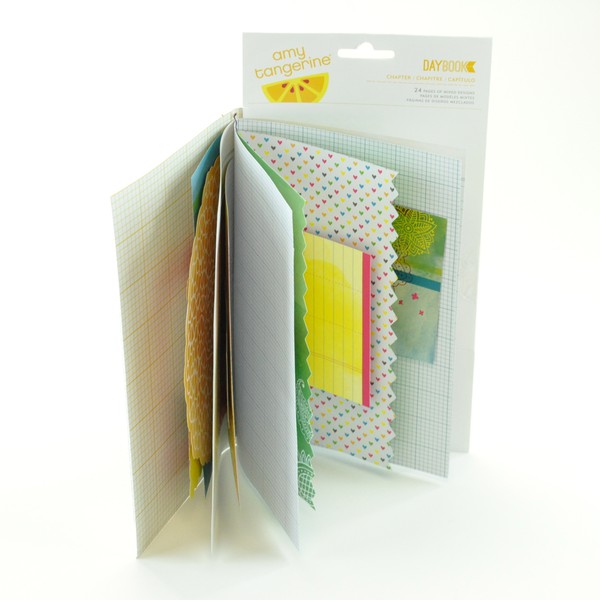 Amy Tangerine - Daybook - Chapter Stitched - 2