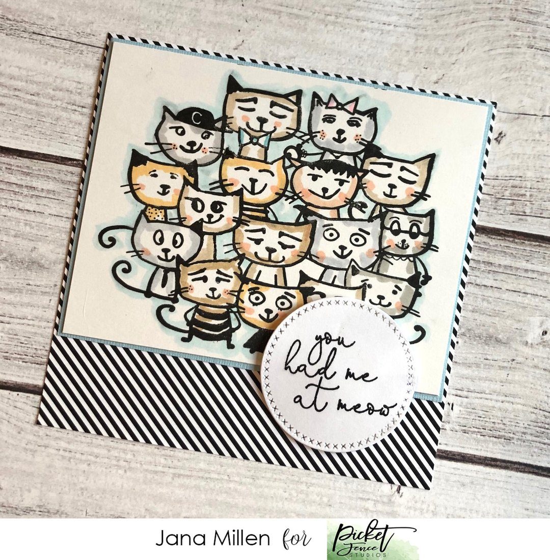 PICKET FENCE STUDIOS -Litter of Cats Clear Stamps - 2