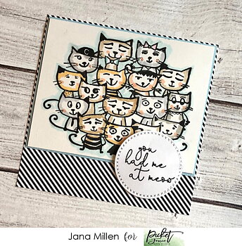 PICKET FENCE STUDIOS -Litter of Cats Clear Stamps