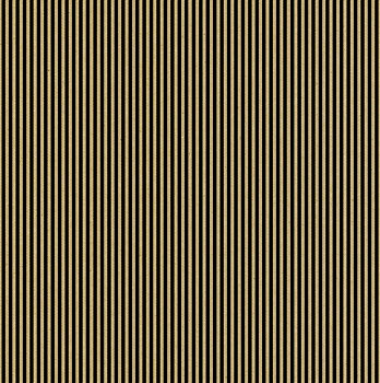 CANVAS CORP  Black & Kraft Ribbon Stripe