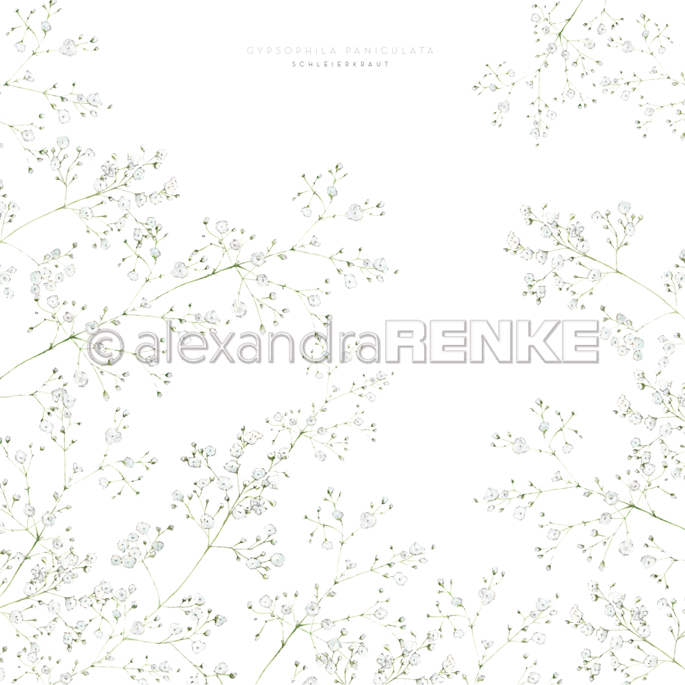 ALEXANDRA RENKE-Designpaper 'baby's breath'