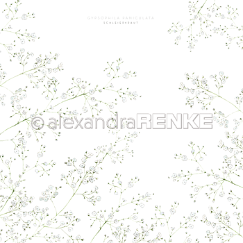 ALEXANDRA RENKE -Designpaper 'baby's breath rose'