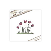 SHABBY CHIC SUMMMER 08