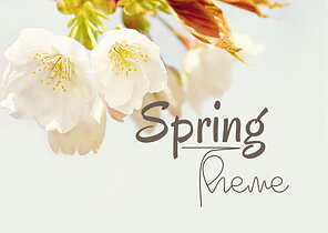 SPRING THEME
