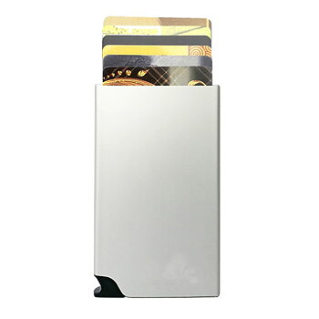 Korthållare Safecard Silver
