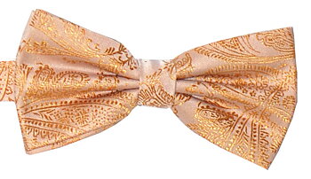 Knuten fluga Paisley Guld