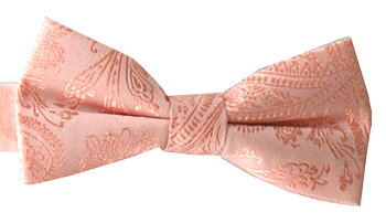 Barnfluga Paisley Laxrosa