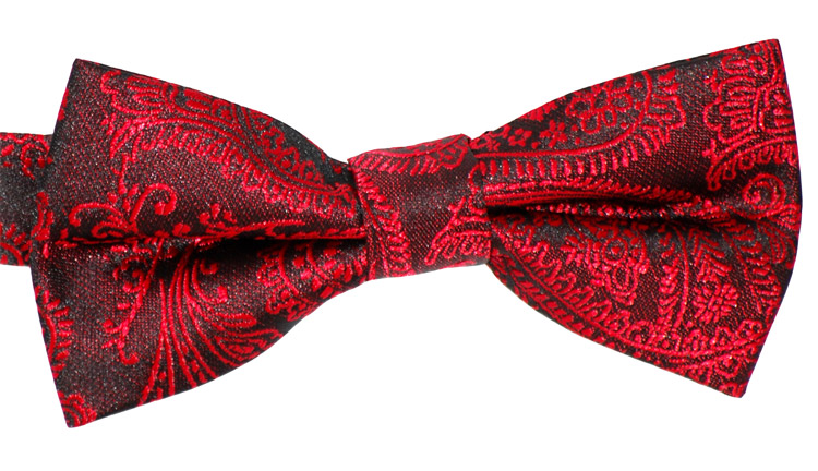 Barnfluga Paisley Röd