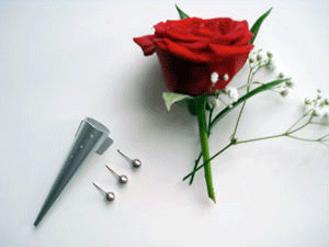Blomkon VIT - 3