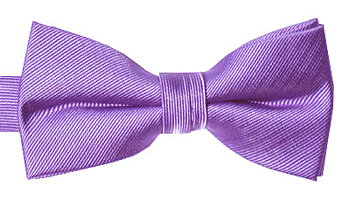 Barnfluga BF055