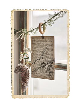 Set med adventskort, larix
