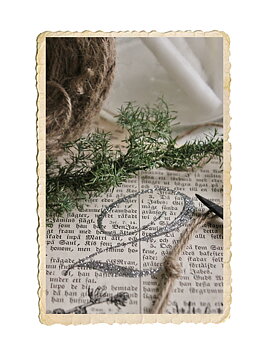 Set med adventskort, larix