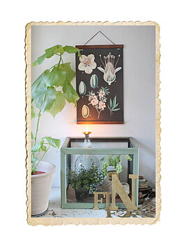 Poster,  skolplansch  35x50 cm