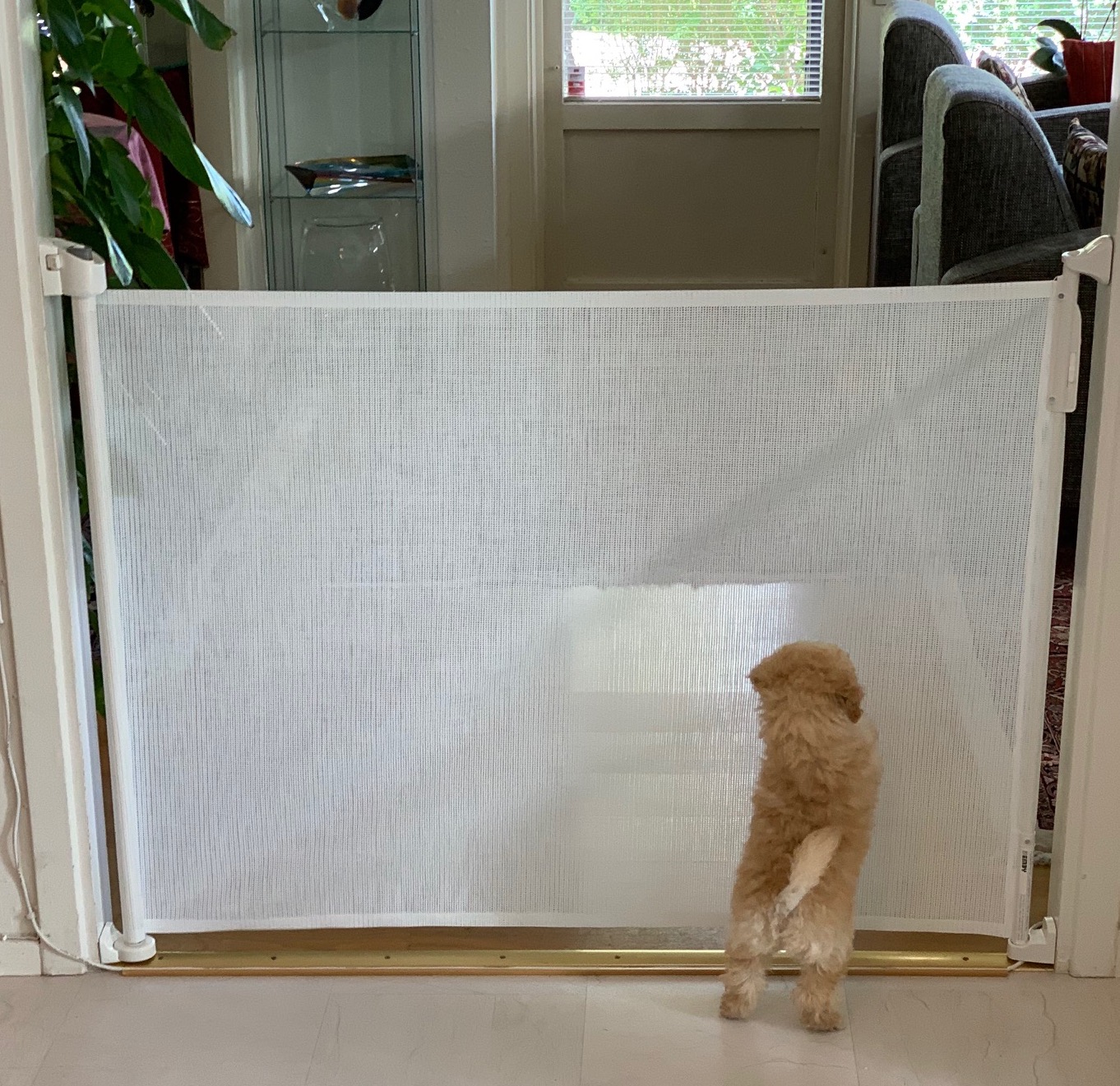PEEKABOO MEMO. HÖJD 93 cm. BREDD max 140 cm. Vit - 3