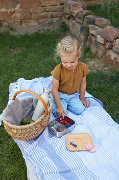 Lässig Lunchbox Stainless Steel Bamboo Garden Explorer