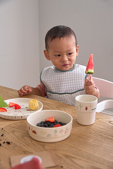 Lässig Lightweight Bib 2 pcs assorted Garden Explorer Tractor
