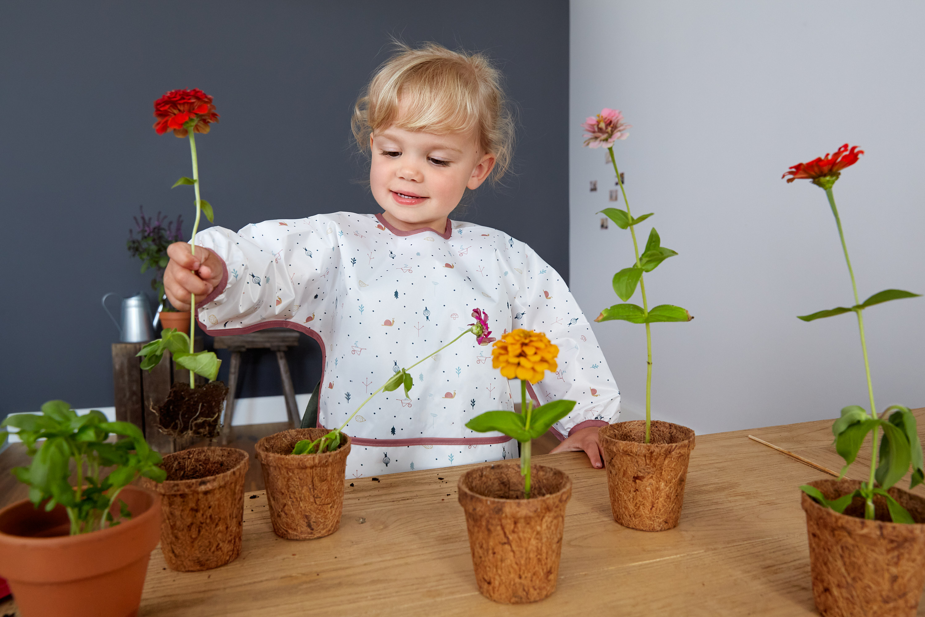 Lässig Long Sleeve Bib 2 pcs assorted Garden Explorer Snail - 3