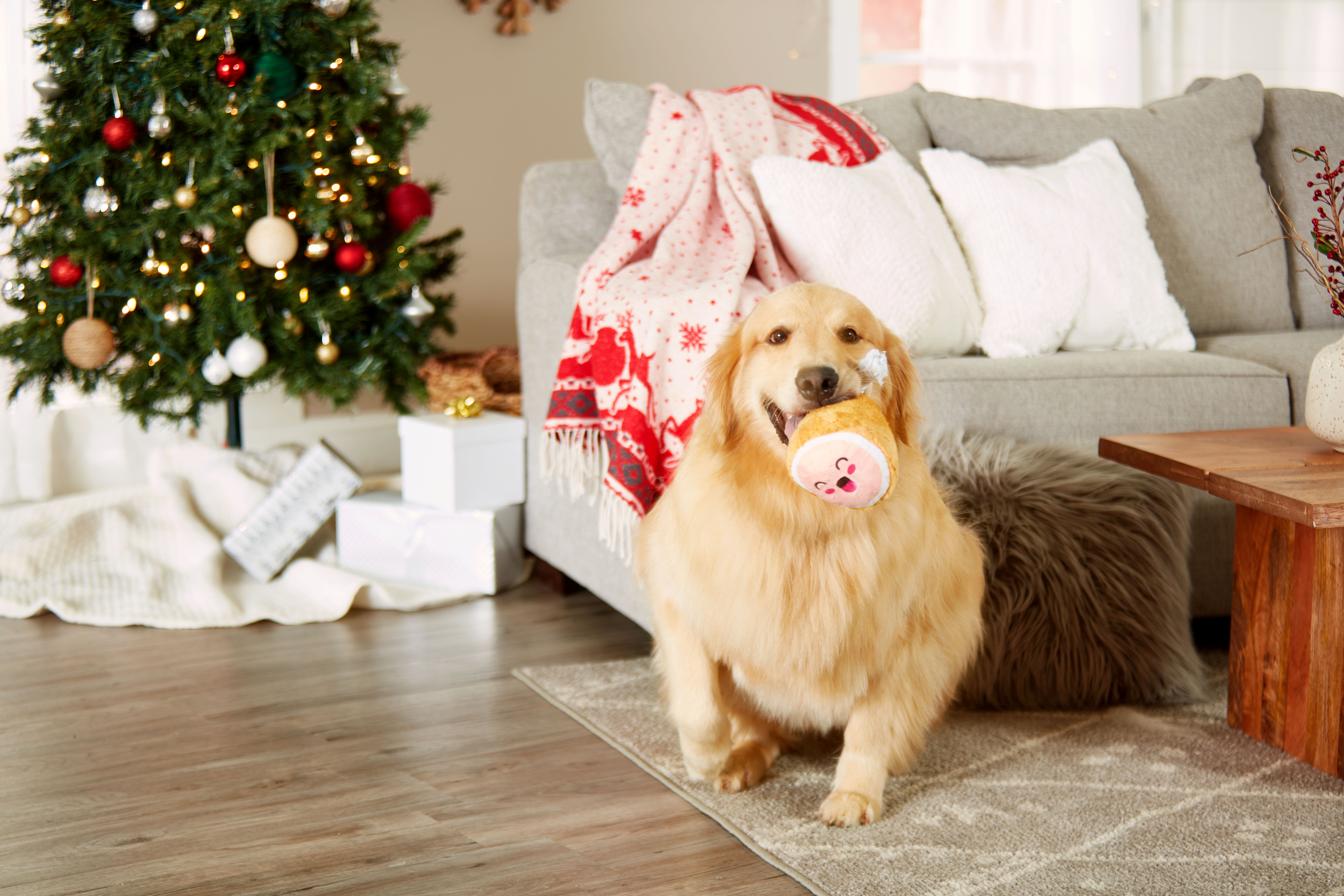 M.C. Hammy Dog Toy Multi - 6