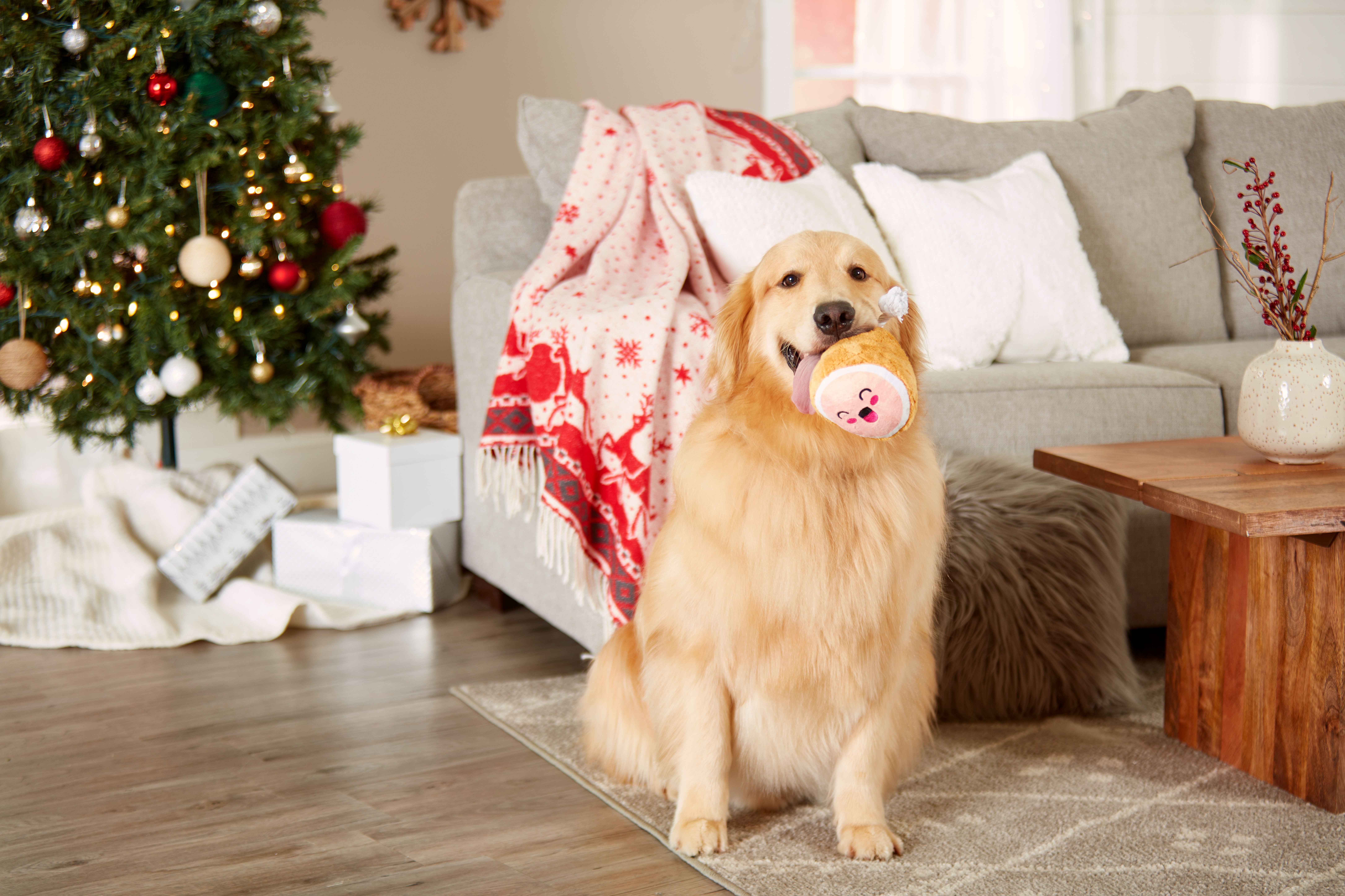 M.C. Hammy Dog Toy Multi - 2