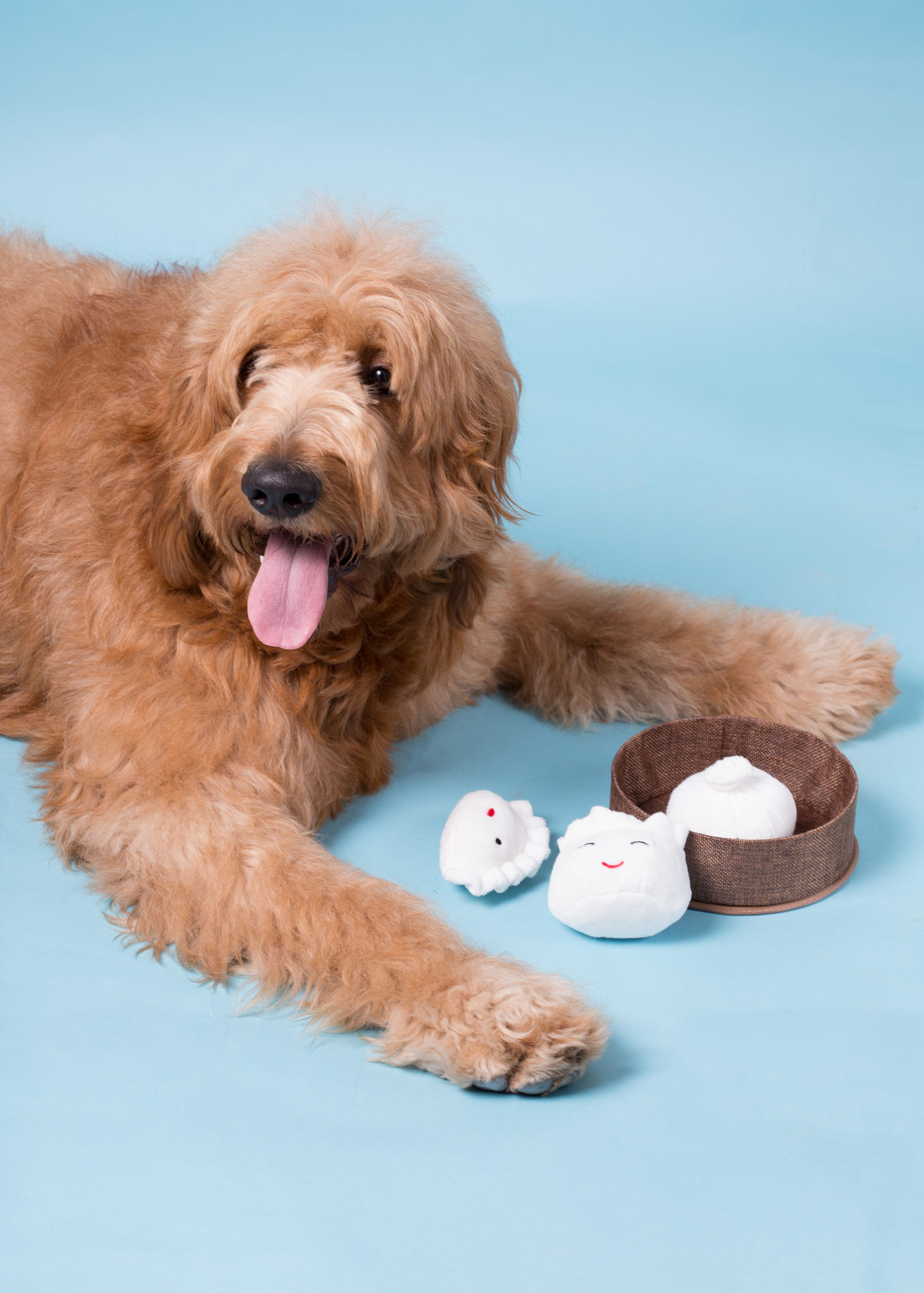 Dim sum dumplings Dog toy set Multi - 2