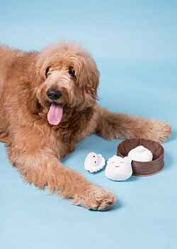 Dim sum dumplings Dog toy set Multi