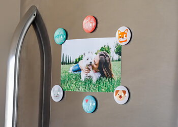 Dog Glass Magnets Multi