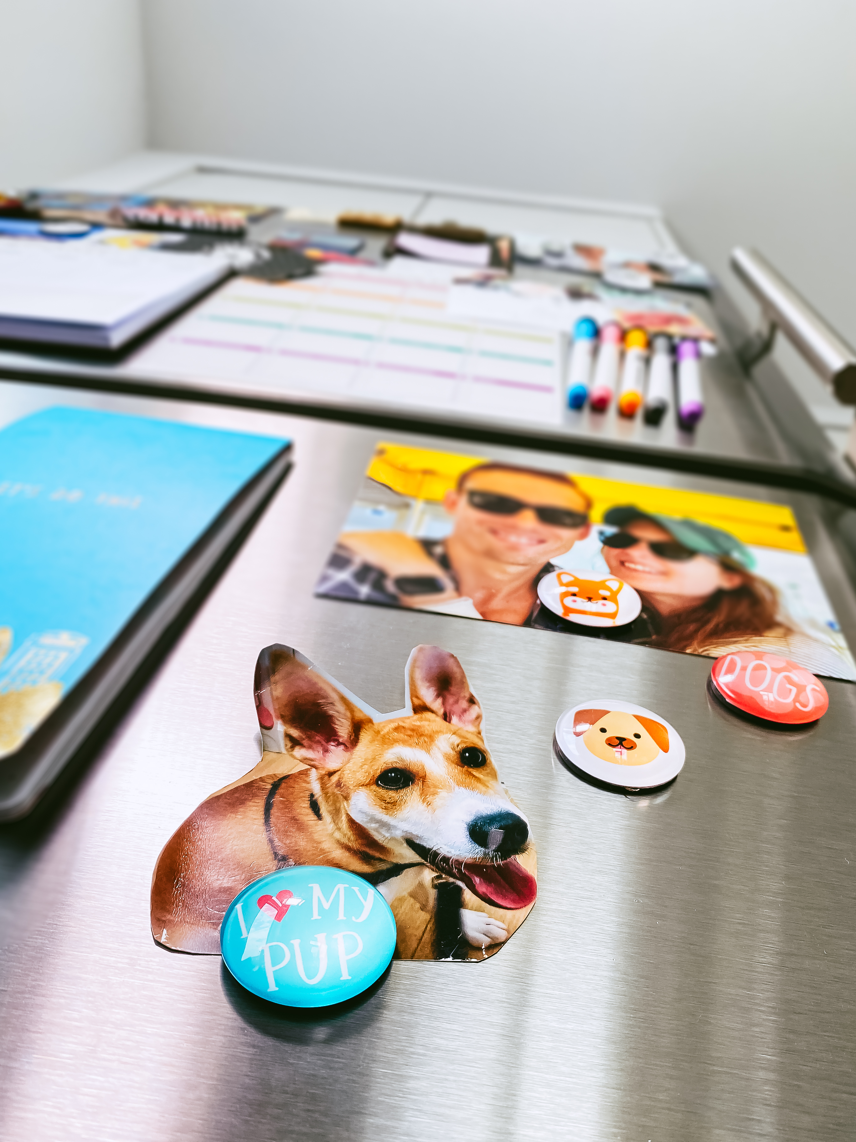 Dog Glass Magnets Multi - 4