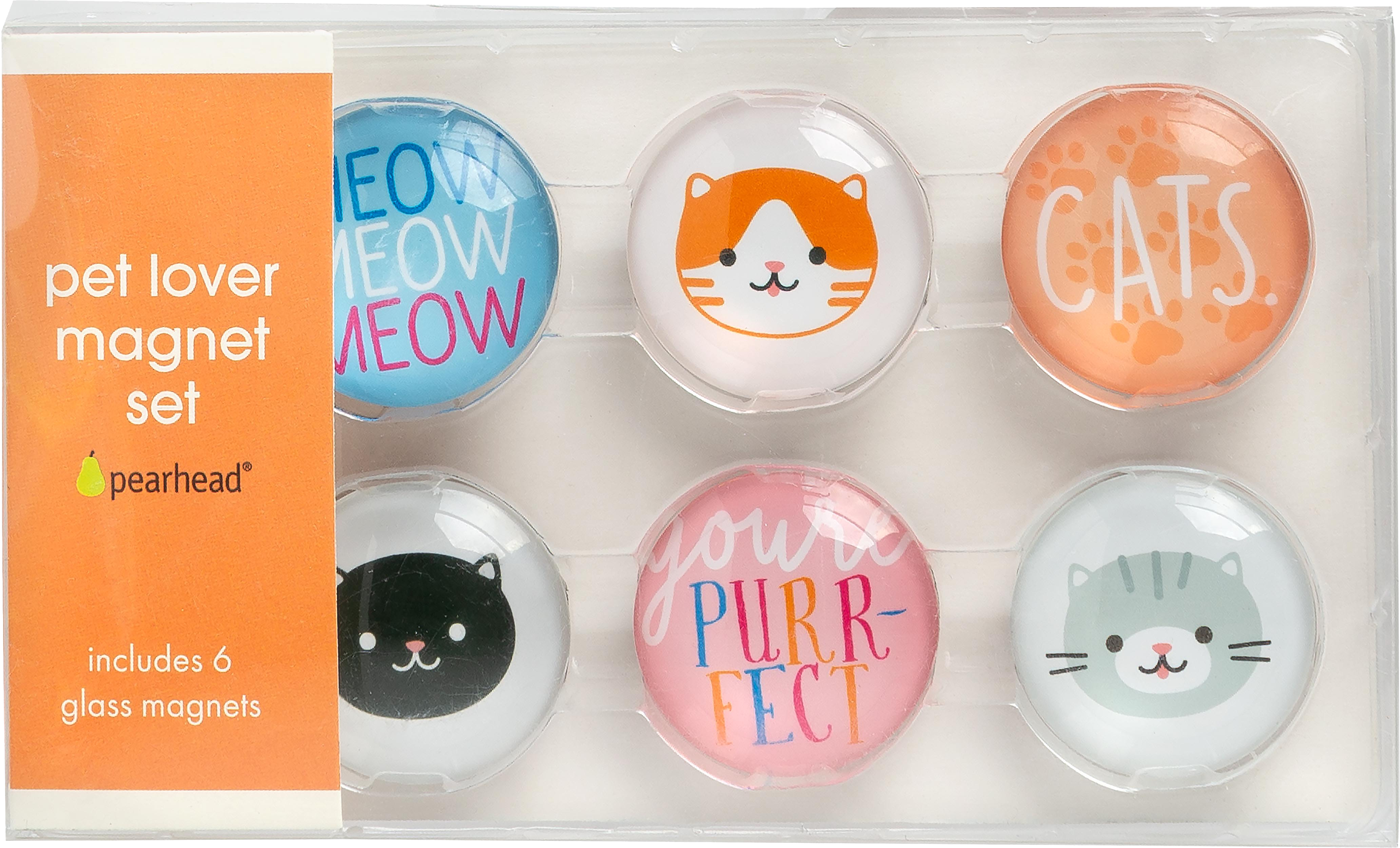 Cat Glass Magnets Multi - 3