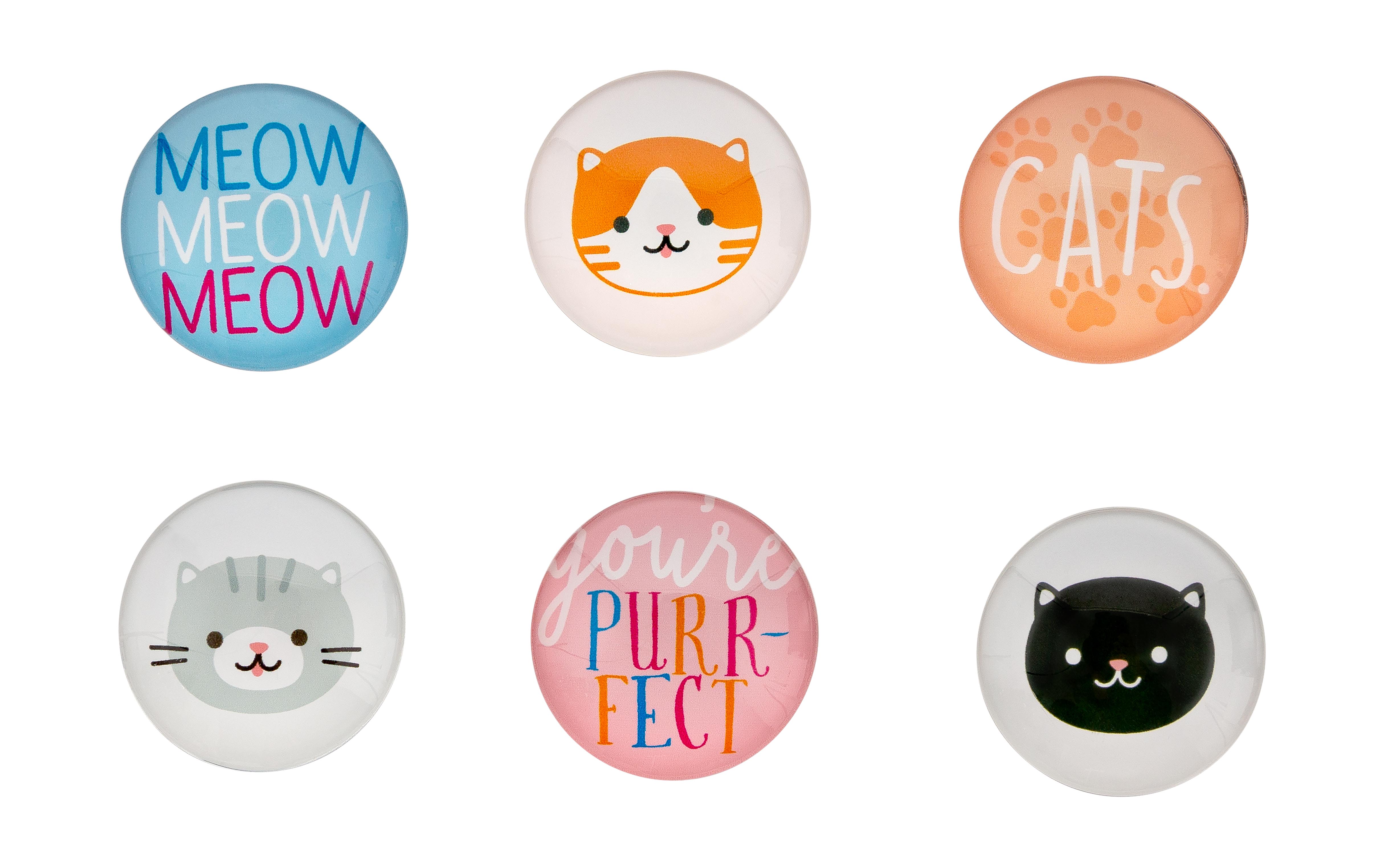 Cat Glass Magnets Multi