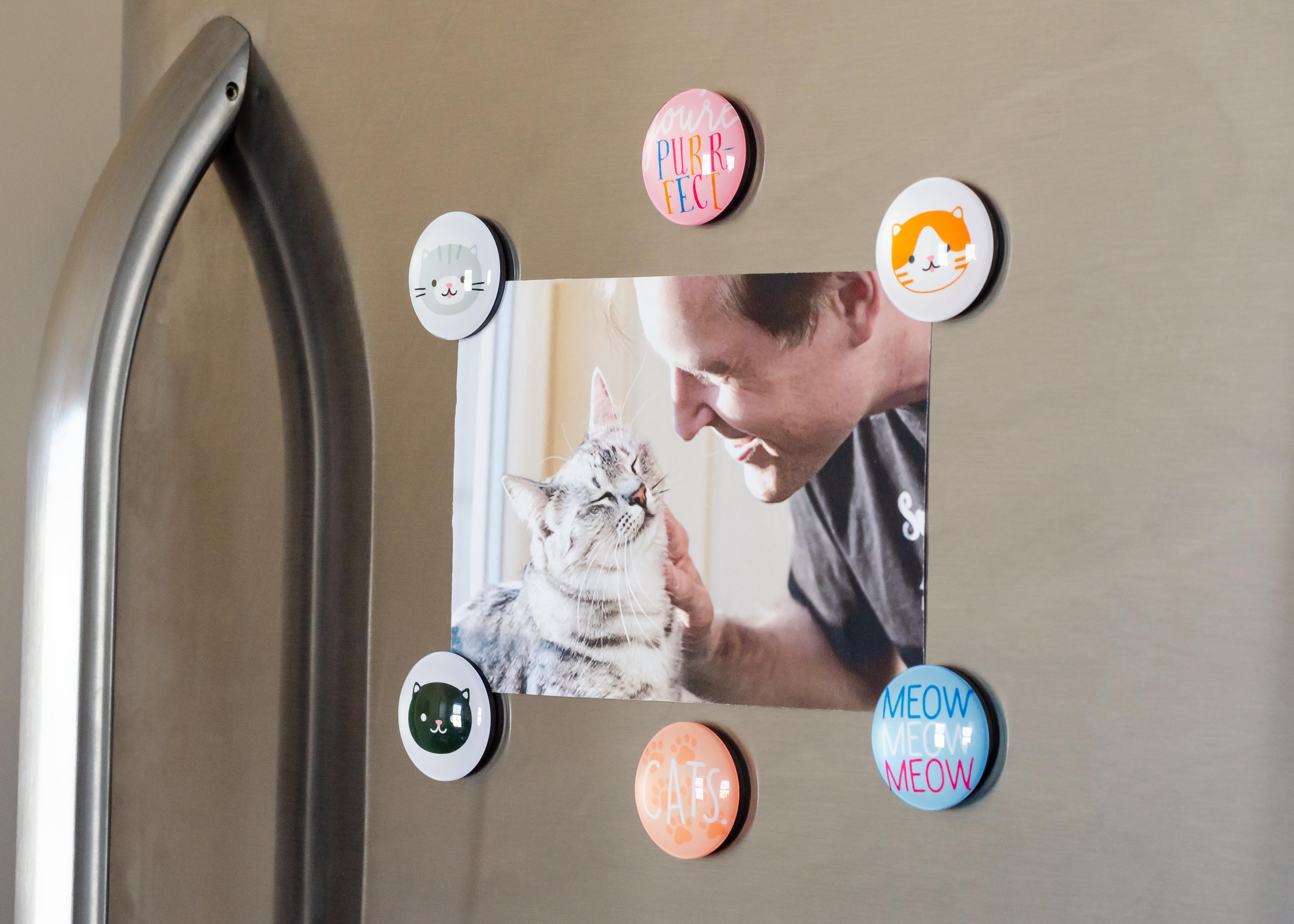 Cat Glass Magnets Multi - 2