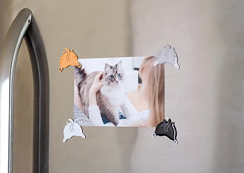 Cat Butt Magnets Multi