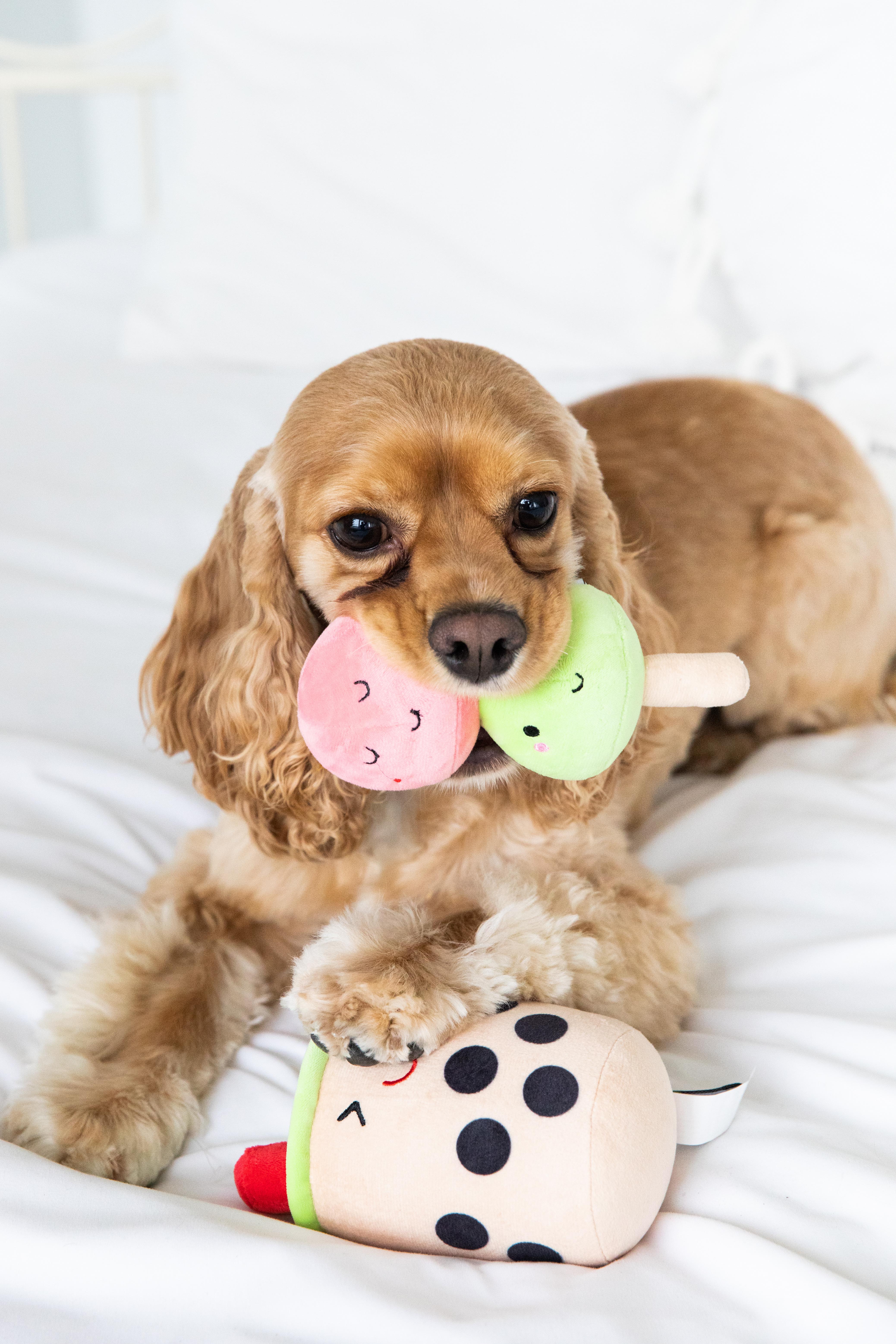 Bubble Tea Dog Toys Multi - 2