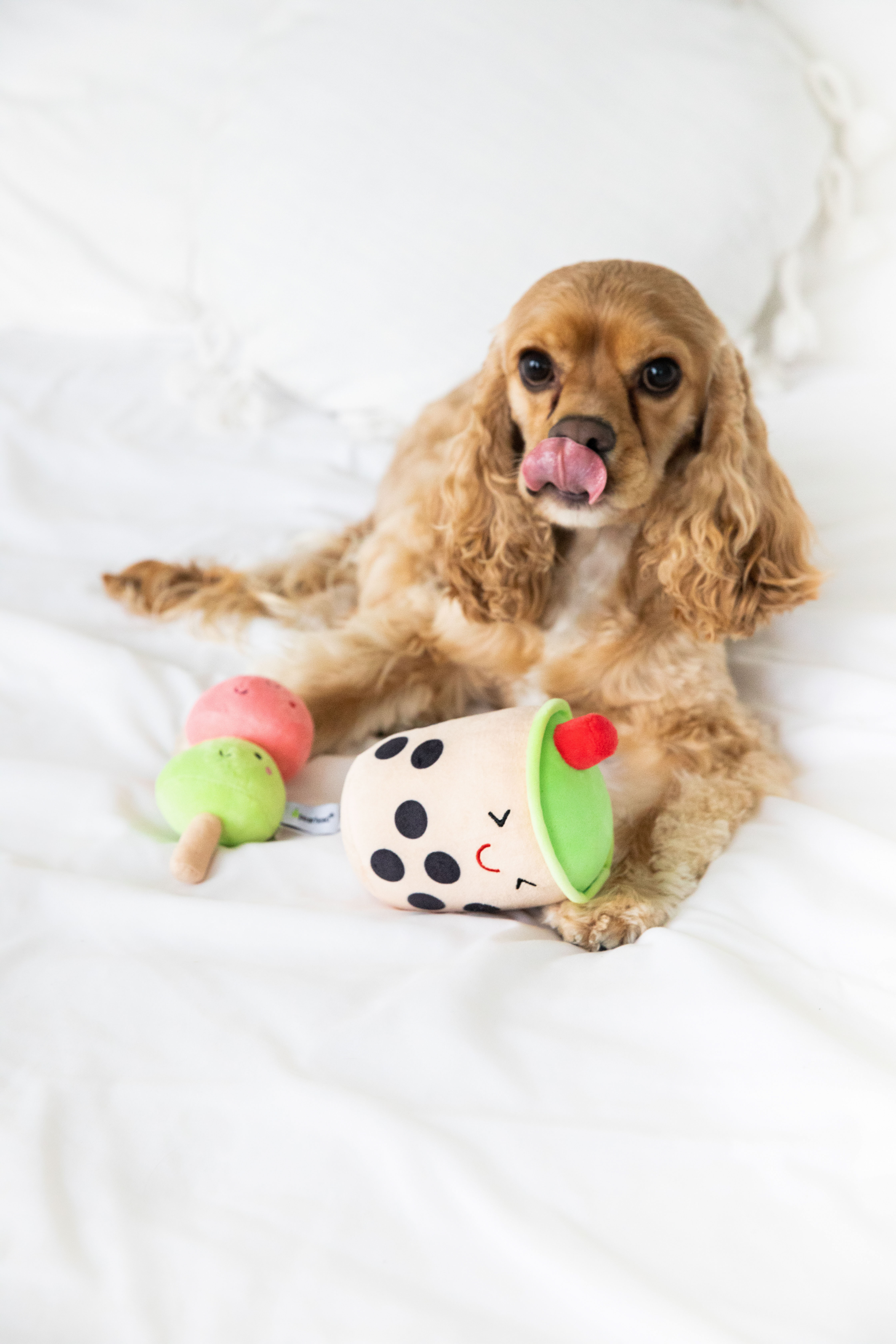 Bubble Tea Dog Toys Multi - 7